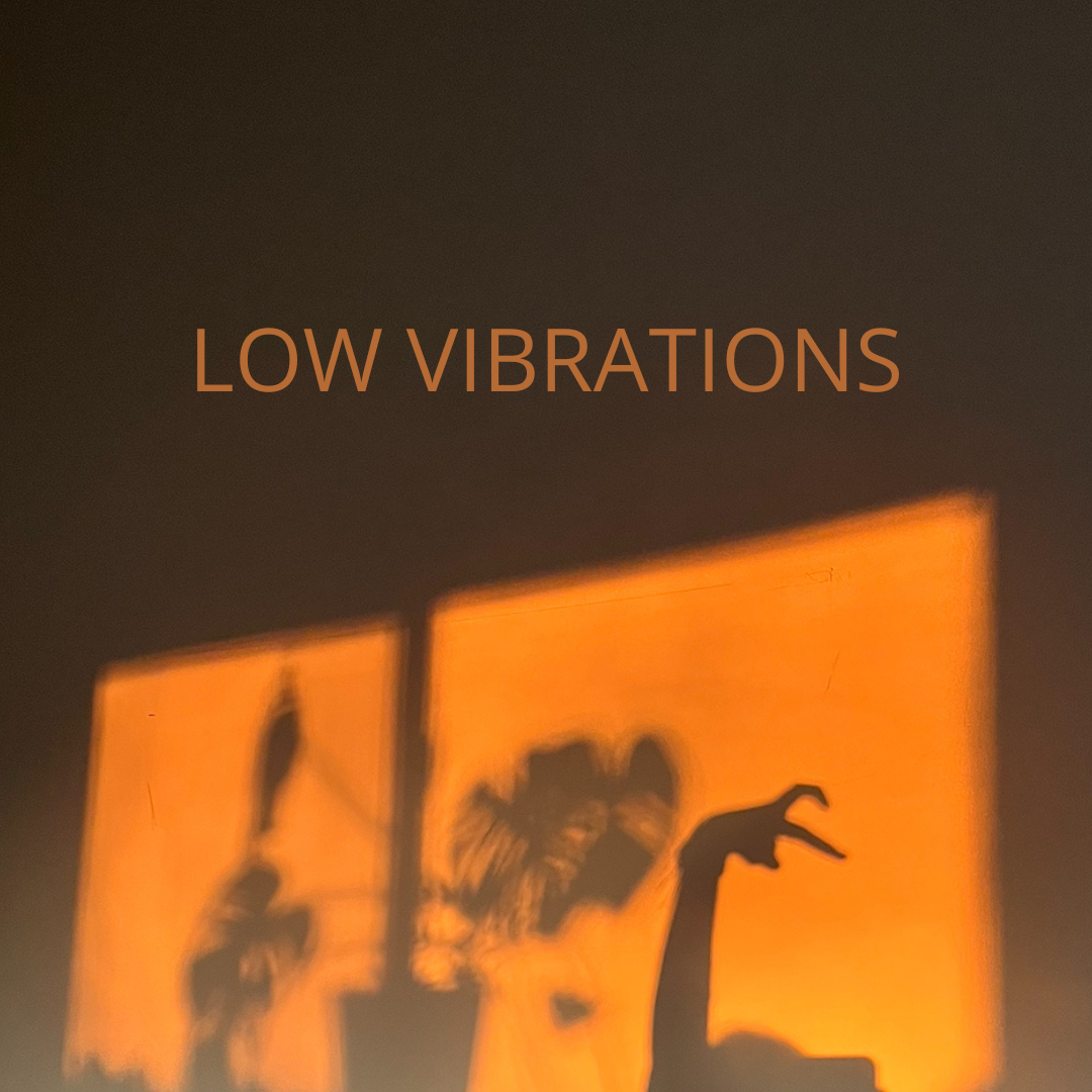 how a low vibrational state is actually going to manifest your dream life